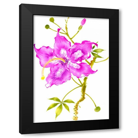 Hibiscus Flower I Black Modern Wood Framed Art Print by Rae, Nan