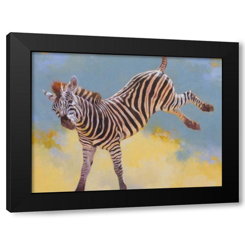 Bucking Zebra Black Modern Wood Framed Art Print with Double Matting by Chapman, Julie