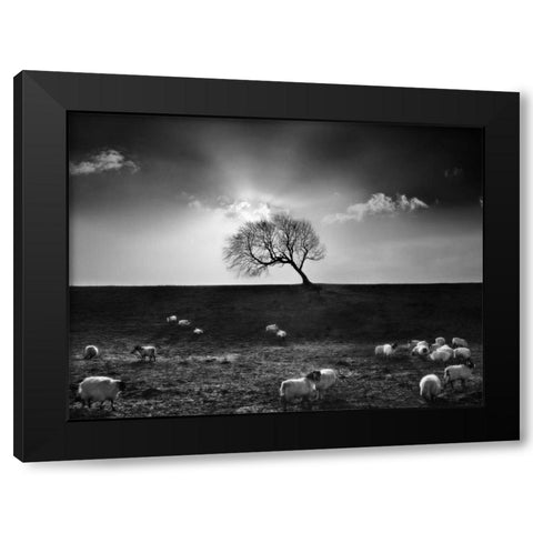 The Gathering Black Modern Wood Framed Art Print by Henson, Martin