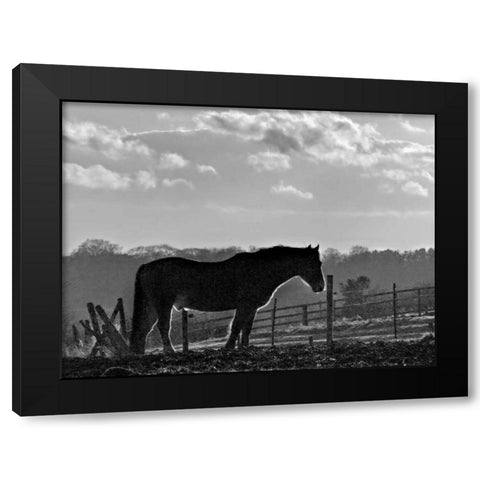 Evening Light III Black Modern Wood Framed Art Print by Henson, Martin