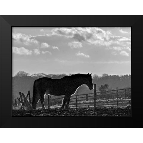 Evening Light III Black Modern Wood Framed Art Print by Henson, Martin