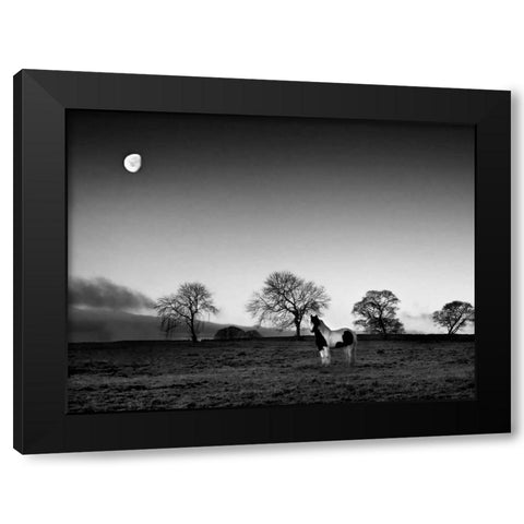 Evening Light IV Black Modern Wood Framed Art Print by Henson, Martin