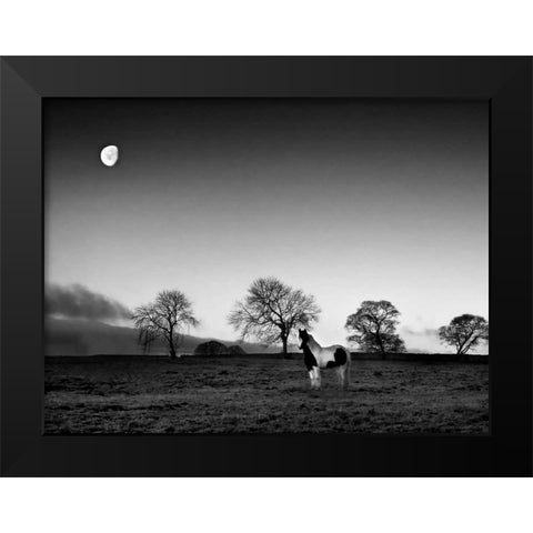 Evening Light IV Black Modern Wood Framed Art Print by Henson, Martin