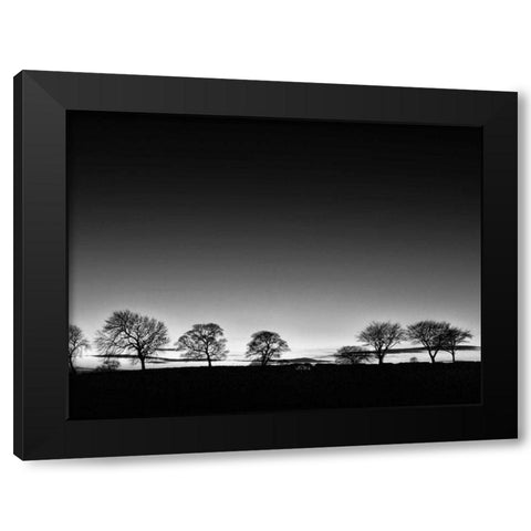 Treeline Light Black Modern Wood Framed Art Print by Henson, Martin