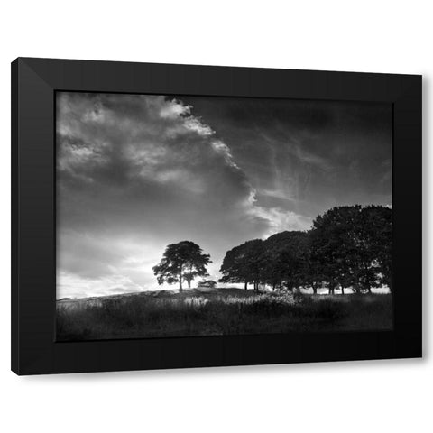Touched by Sunlight Black Modern Wood Framed Art Print with Double Matting by Henson, Martin