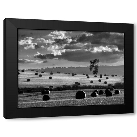 Rolls of Hay Black Modern Wood Framed Art Print with Double Matting by Henson, Martin