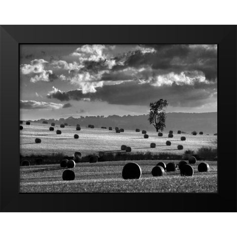 Rolls of Hay Black Modern Wood Framed Art Print by Henson, Martin