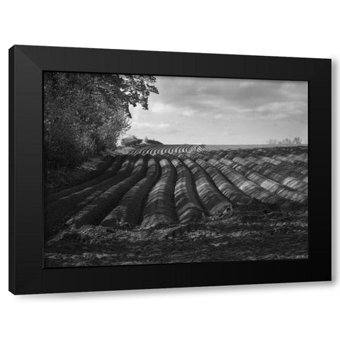 Furrows Black Modern Wood Framed Art Print with Double Matting by Henson, Martin