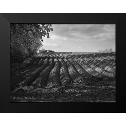 Furrows Black Modern Wood Framed Art Print by Henson, Martin