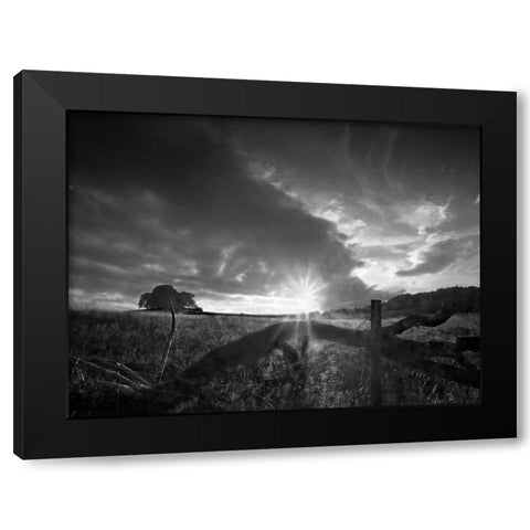 Fallen Tree Black Modern Wood Framed Art Print with Double Matting by Henson, Martin