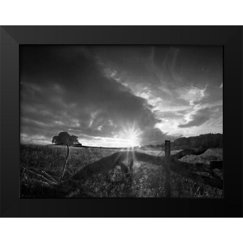Fallen Tree Black Modern Wood Framed Art Print by Henson, Martin