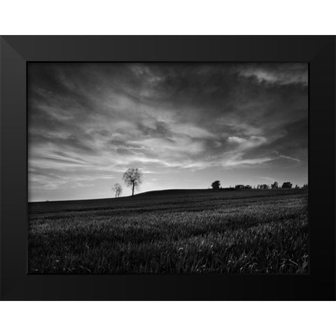 Black and White Sunset Black Modern Wood Framed Art Print by Henson, Martin