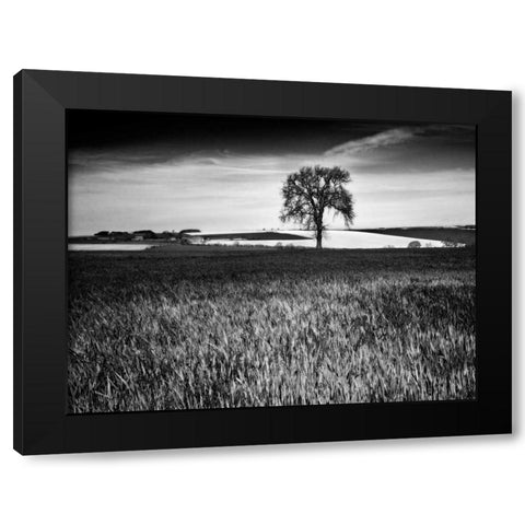 Field Texture Black Modern Wood Framed Art Print with Double Matting by Henson, Martin