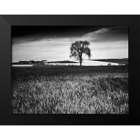 Field Texture Black Modern Wood Framed Art Print by Henson, Martin