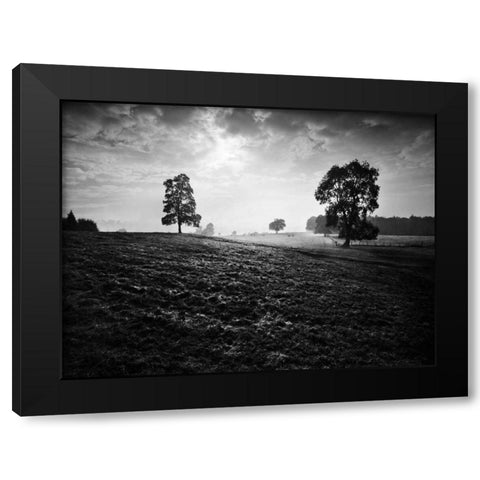 Breaking Light Black Modern Wood Framed Art Print by Henson, Martin