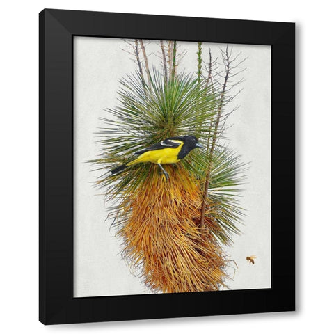 Avian Tropics II Black Modern Wood Framed Art Print with Double Matting by Vest, Chris