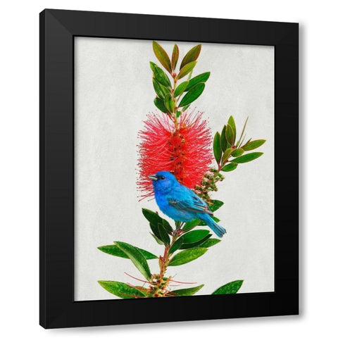 Avian Tropics III Black Modern Wood Framed Art Print by Vest, Chris