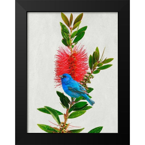 Avian Tropics III Black Modern Wood Framed Art Print by Vest, Chris