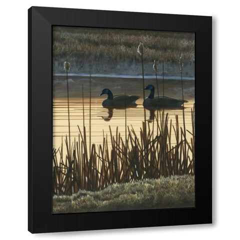 First Light II Black Modern Wood Framed Art Print with Double Matting by Szatkowski, Fred