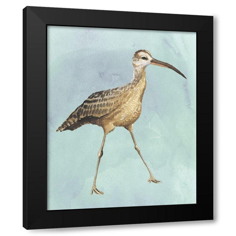 Watercolor Beach Bird II Black Modern Wood Framed Art Print by Popp, Grace