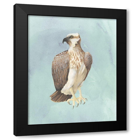 Watercolor Beach Bird IV Black Modern Wood Framed Art Print with Double Matting by Popp, Grace