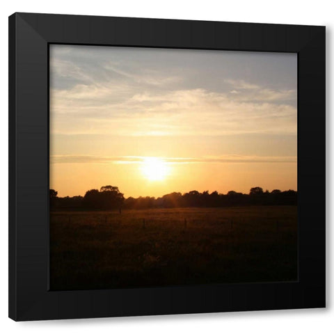 Sunset Field I Black Modern Wood Framed Art Print by Bell, Lillian