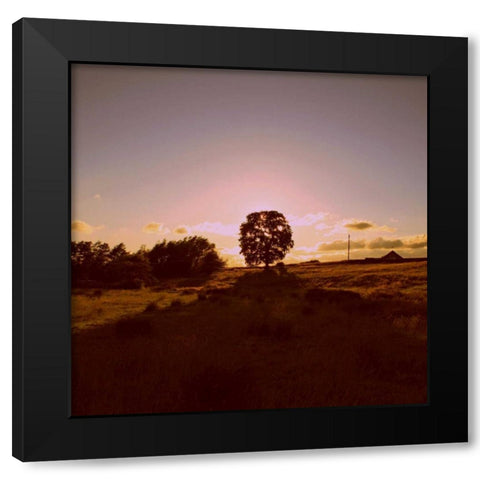 Sunset Field II Black Modern Wood Framed Art Print by Bell, Lillian