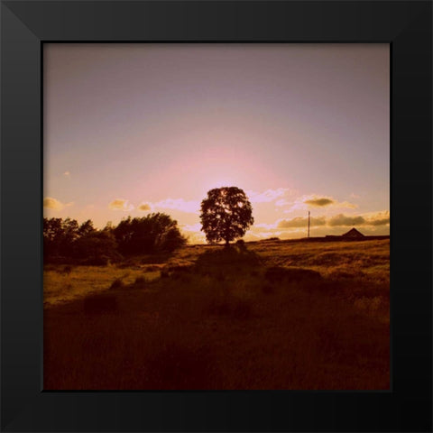 Sunset Field II Black Modern Wood Framed Art Print by Bell, Lillian