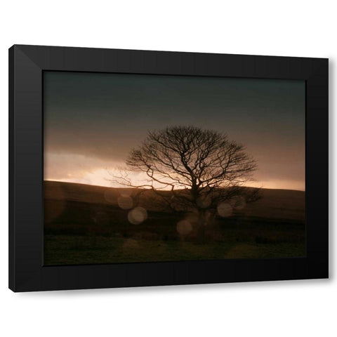 Stormy Sunset II Black Modern Wood Framed Art Print by Bell, Lillian