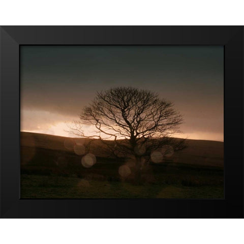 Stormy Sunset II Black Modern Wood Framed Art Print by Bell, Lillian