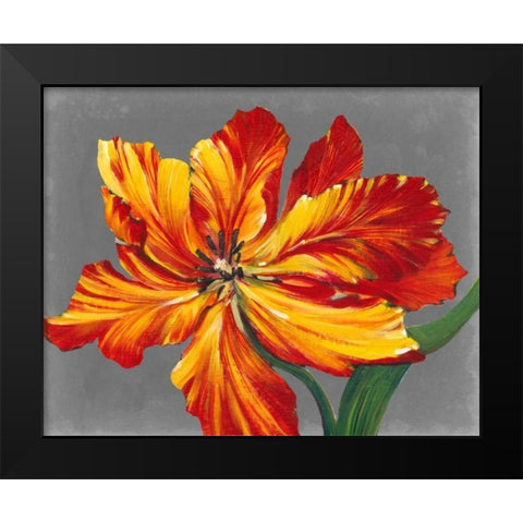 Tulip Portrait I Black Modern Wood Framed Art Print by OToole, Tim