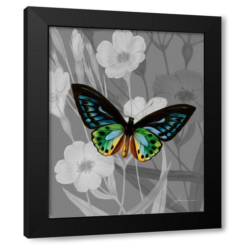 On Display I Black Modern Wood Framed Art Print by Burghardt, James