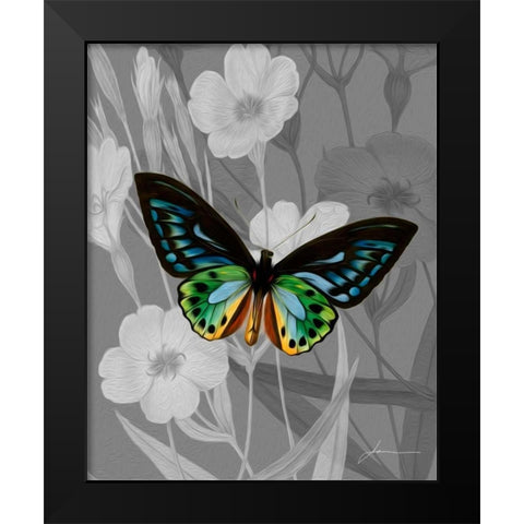 On Display I Black Modern Wood Framed Art Print by Burghardt, James
