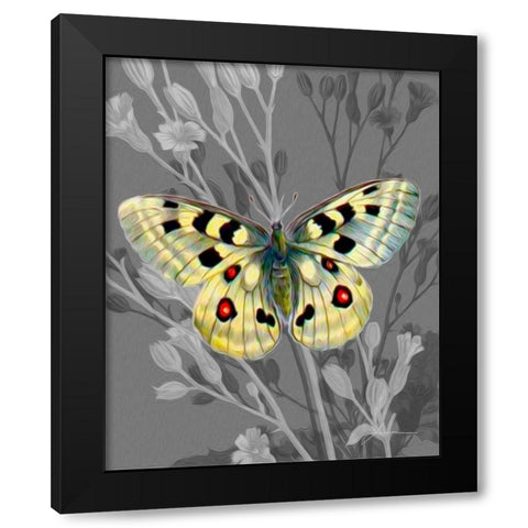 On Display II Black Modern Wood Framed Art Print by Burghardt, James