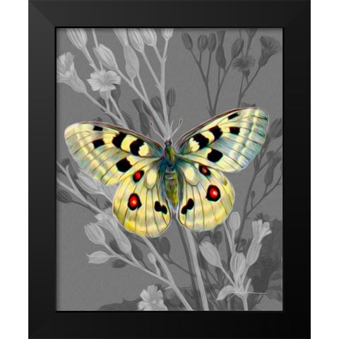 On Display II Black Modern Wood Framed Art Print by Burghardt, James