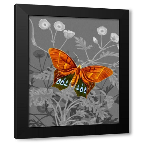 On Display III Black Modern Wood Framed Art Print with Double Matting by Burghardt, James