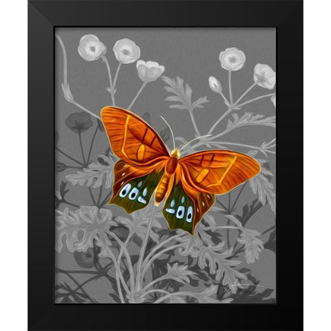 On Display III Black Modern Wood Framed Art Print by Burghardt, James