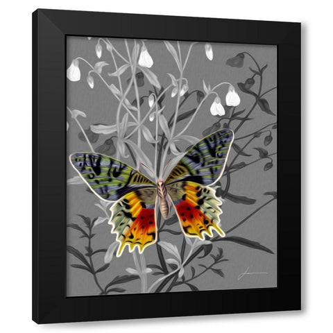 On Display IV Black Modern Wood Framed Art Print by Burghardt, James