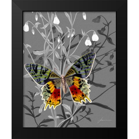 On Display IV Black Modern Wood Framed Art Print by Burghardt, James
