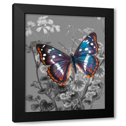 On Display VI Black Modern Wood Framed Art Print by Burghardt, James