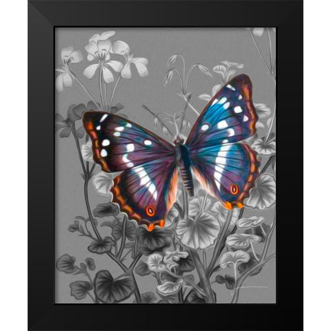 On Display VI Black Modern Wood Framed Art Print by Burghardt, James