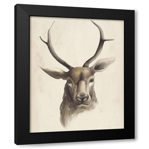 Watercolor Animal Study I Black Modern Wood Framed Art Print with Double Matting by Popp, Grace