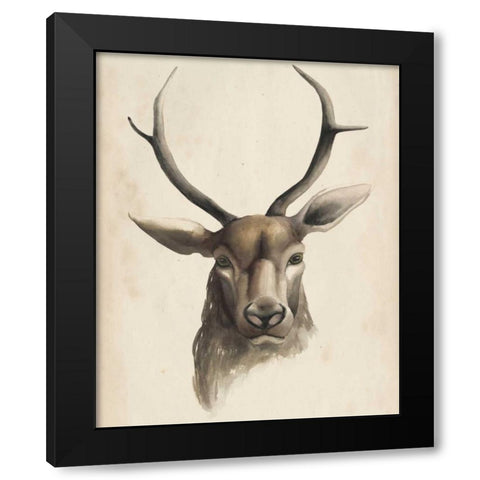 Watercolor Animal Study I Black Modern Wood Framed Art Print by Popp, Grace