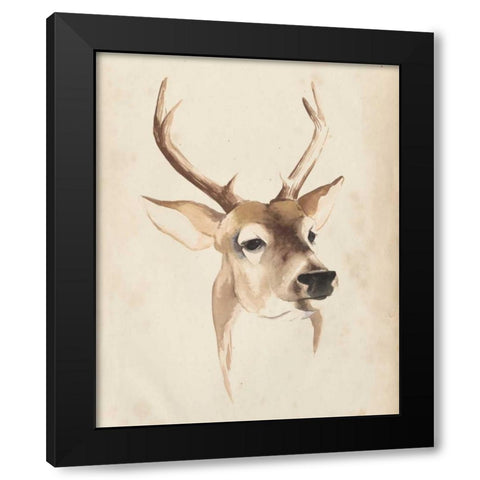 Watercolor Animal Study IV Black Modern Wood Framed Art Print by Popp, Grace