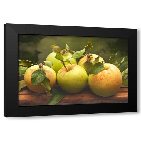 Jills Green Apples I Black Modern Wood Framed Art Print with Double Matting by Perry, Rachel