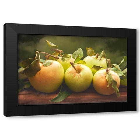 Jills Green Apples II Black Modern Wood Framed Art Print by Perry, Rachel