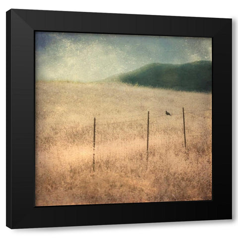 In Country II Black Modern Wood Framed Art Print with Double Matting by Malek, Honey