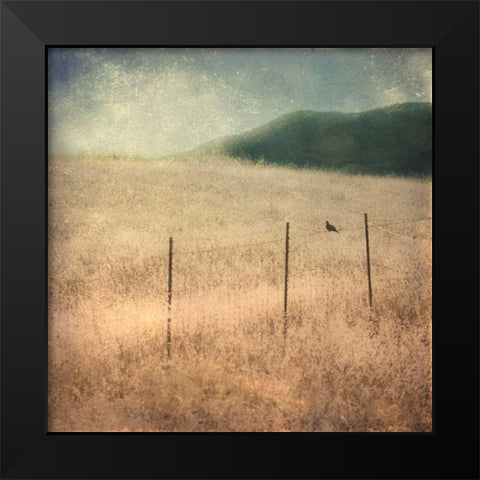 In Country II Black Modern Wood Framed Art Print by Malek, Honey
