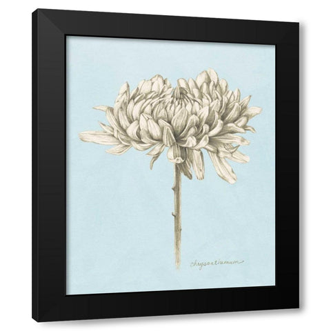 Graphite Botanical Study II Black Modern Wood Framed Art Print by Popp, Grace