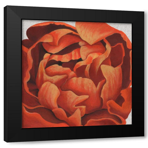 Fiery Floral I Black Modern Wood Framed Art Print with Double Matting by Popp, Grace